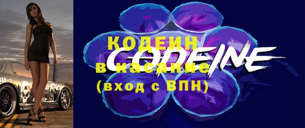 крисы Лабытнанги