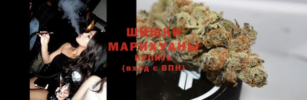 крисы Лабытнанги