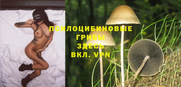 синтетический гашиш Кулебаки
