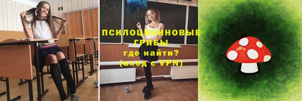 крисы Лабытнанги
