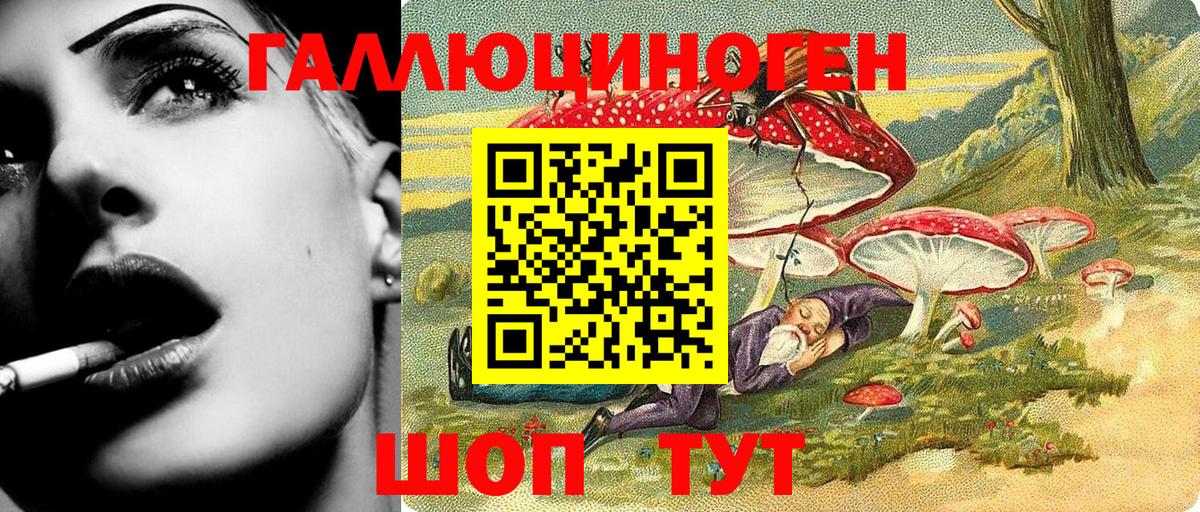 Псилоцибиновые грибы Psilocybine cubensis  Вход с VPN  Лесной 